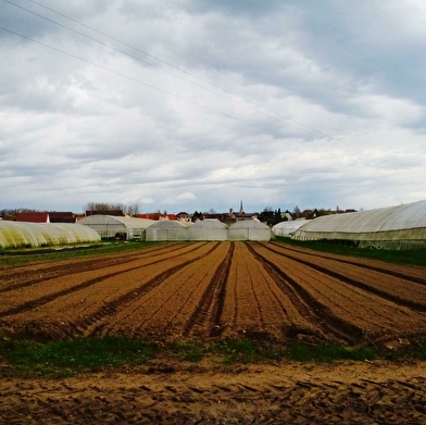 Les Maraichers du Pré Velot