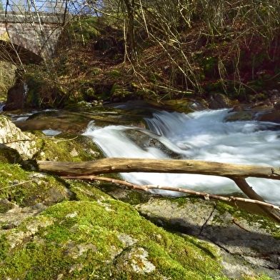 La Tour du Chaume