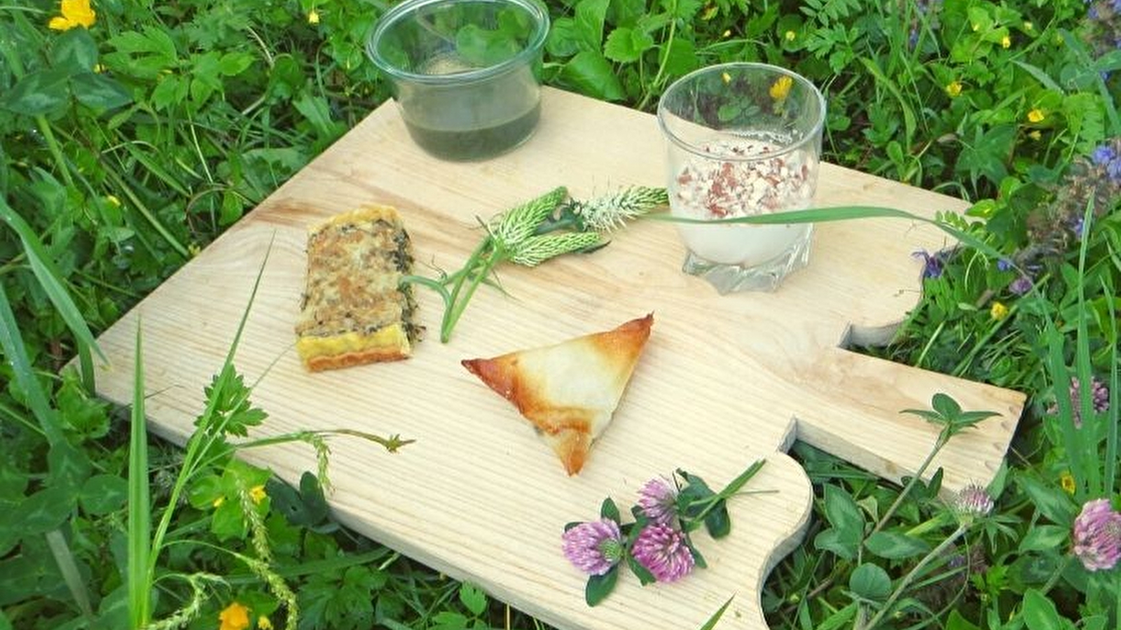 Cueillette et cuisine des plantes sauvages d’été
