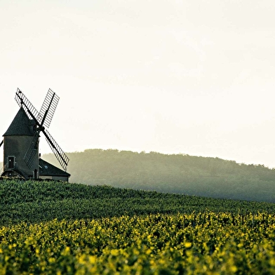 Château du Moulin-à-Vent