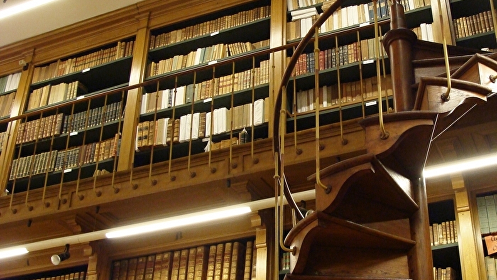 Découverte du Fonds patrimonial