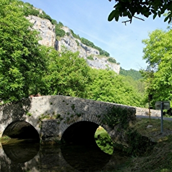 Rivière de la Seille - LADOYE-SUR-SEILLE