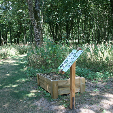 Sentier sensoriel de l'île de Caqueret