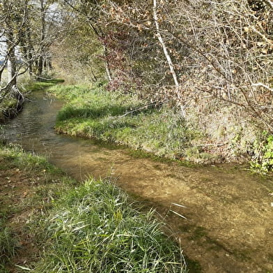 Balades naturalistes gratuites sur la nappe de Dijon Sud  et de la Cent Fonts - Parcours 2 (Saulon-la-Chapelle ; Noiron-sous-Gevrey) - ENS2025