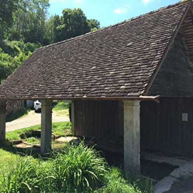 Bucey lès Gy, Cité vigneronne