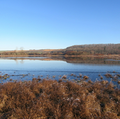 Marais de la vallée de la Druyes