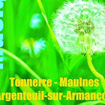 Festival Musiques en Tonnerrois : Rencontre conférence - TONNERRE