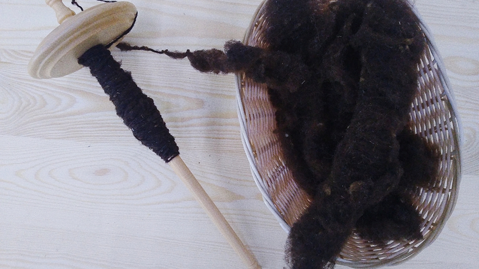 Atelier laine de mouton : lavage et filage au fuseau