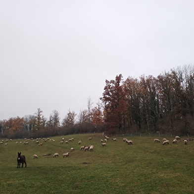 Ferme de l'âne d'Eria