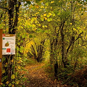 Tourbière de Champgazon - MONTSAUCHE-LES-SETTONS
