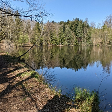 Le Sentier du Bois des Hauts