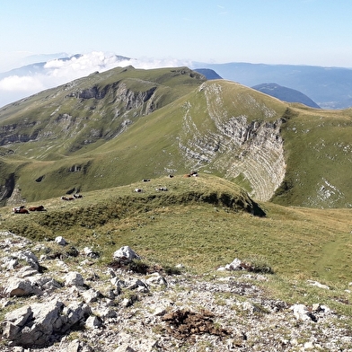 Randonnée pédestre : sur les traces des passeurs