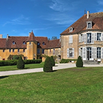 Château de Pin - PIN