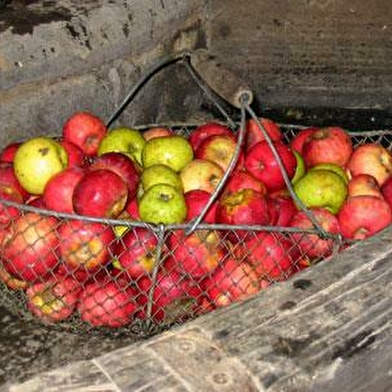 Musée de la Pomme et du Cidre 