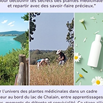 Week-end plantes médicinales - DOUCIER