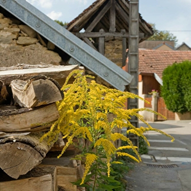 Chemin de Compostelle - Bretelle Besançon Marnay AF-CCC