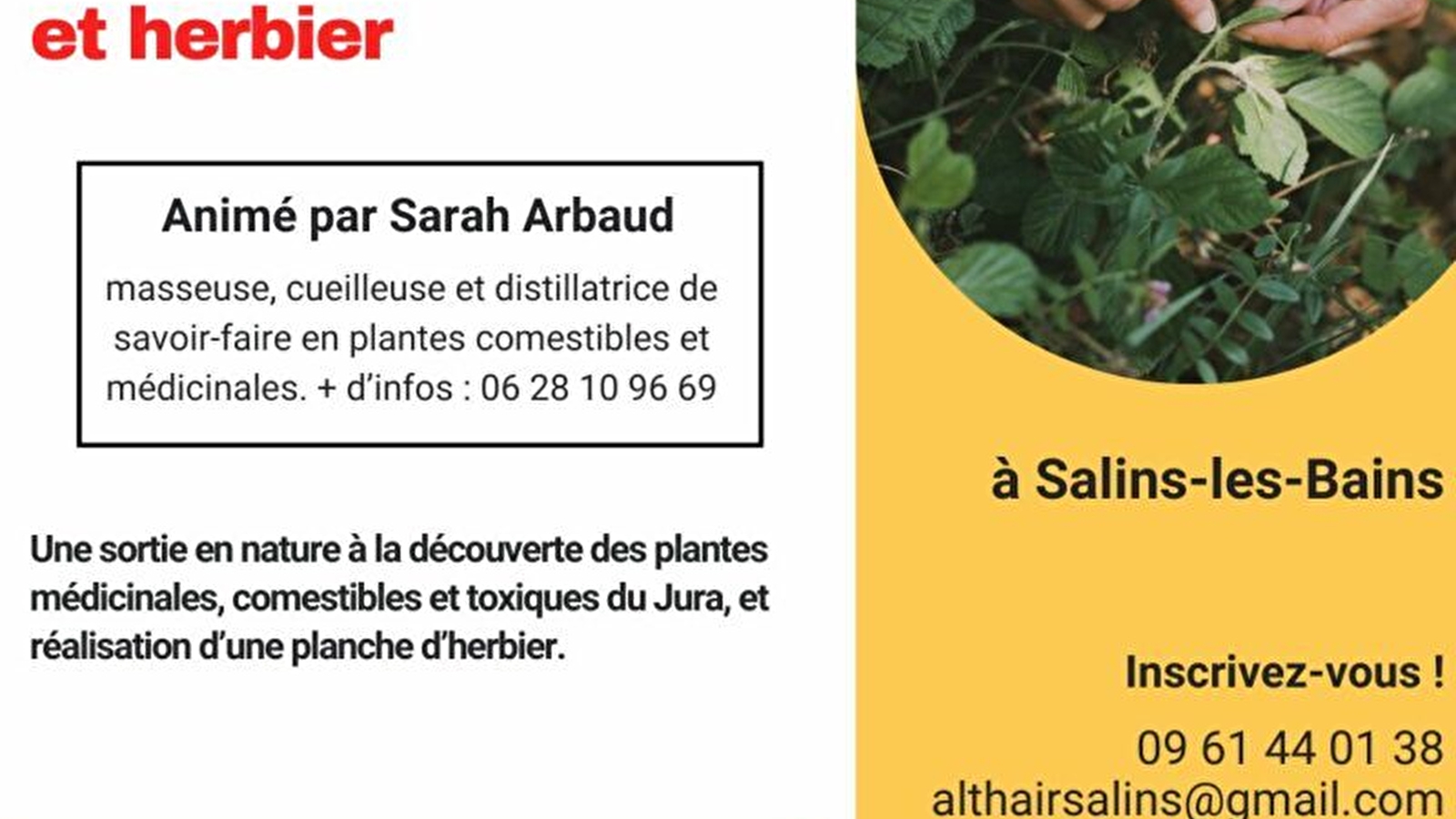 Plantes du Jura