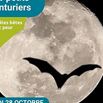 Les Tout-petits Aventuriers - matinée nature pour les moins de 6 ans - spéciale 'Les petites bêtes qui font peur' - POUILLY-SUR-LOIRE